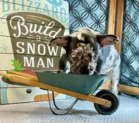 processed/f5a71f13-a99e-4d34-a58c-f5d1ed86915d/listing/e8bd29f3-3883-46b2-9ef6-28ef63e2c1ec/5bdac07e-8f24-4b56-986a-a62bac781ec9