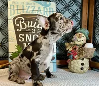 processed/f5a71f13-a99e-4d34-a58c-f5d1ed86915d/listing/e8bd29f3-3883-46b2-9ef6-28ef63e2c1ec/6d81431b-98f9-489d-a2fb-8dfe31f6899a