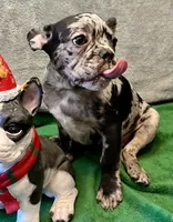 processed/f5a71f13-a99e-4d34-a58c-f5d1ed86915d/listing/e8bd29f3-3883-46b2-9ef6-28ef63e2c1ec/71940d33-6ec2-4d45-b1e3-32700777e2a6