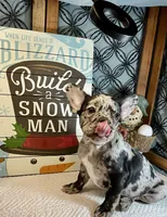 processed/f5a71f13-a99e-4d34-a58c-f5d1ed86915d/listing/e8bd29f3-3883-46b2-9ef6-28ef63e2c1ec/74bb4977-5966-45df-9398-b79fee8489b1