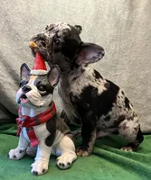 processed/f5a71f13-a99e-4d34-a58c-f5d1ed86915d/listing/e8bd29f3-3883-46b2-9ef6-28ef63e2c1ec/ae039ca2-eda7-4999-b561-13e5822c3252