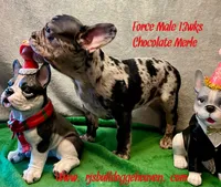 processed/f5a71f13-a99e-4d34-a58c-f5d1ed86915d/listing/e8bd29f3-3883-46b2-9ef6-28ef63e2c1ec/bd903cfc-a42d-4359-9bd3-108a49badb89