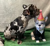 processed/f5a71f13-a99e-4d34-a58c-f5d1ed86915d/listing/e8bd29f3-3883-46b2-9ef6-28ef63e2c1ec/c805635c-092e-403b-b5b8-f398f71259b4