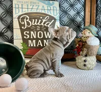 processed/f5a71f13-a99e-4d34-a58c-f5d1ed86915d/listing/eba43126-ae06-401b-9f30-c02fb0f2c87e/00e8db71-0816-4aaa-b614-df94d987ddef