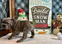 processed/f5a71f13-a99e-4d34-a58c-f5d1ed86915d/listing/eba43126-ae06-401b-9f30-c02fb0f2c87e/1245e24f-f825-44ed-bfcd-dba6586187c2