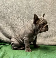 processed/f5a71f13-a99e-4d34-a58c-f5d1ed86915d/listing/eba43126-ae06-401b-9f30-c02fb0f2c87e/2a5acf83-0b2d-4d77-9734-4fb24661ab2d