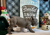 processed/f5a71f13-a99e-4d34-a58c-f5d1ed86915d/listing/eba43126-ae06-401b-9f30-c02fb0f2c87e/41559b48-5998-4c35-99ab-b4e294f6fd75