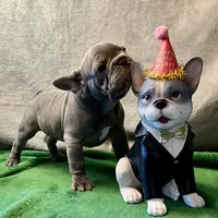 processed/f5a71f13-a99e-4d34-a58c-f5d1ed86915d/listing/eba43126-ae06-401b-9f30-c02fb0f2c87e/e5d5079c-c3e7-4490-ac81-db51c202cc4c