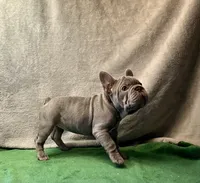 processed/f5a71f13-a99e-4d34-a58c-f5d1ed86915d/listing/eba43126-ae06-401b-9f30-c02fb0f2c87e/eb37f535-3899-4db2-8522-e8a4dfc3858a