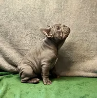 processed/f5a71f13-a99e-4d34-a58c-f5d1ed86915d/listing/eba43126-ae06-401b-9f30-c02fb0f2c87e/f5f56859-2b16-40e6-9173-69e6af05761e