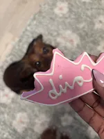 Cardínma Celenè, a female Miniature Dachshund for sale in New York, NY – 3 of 9