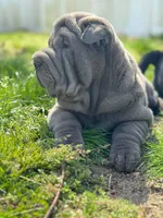 processed/f5b310cb-5f16-4b11-972c-5904fafc7057/facility/0d60a41a-e4a8-42d0-b854-b1d7640fb429