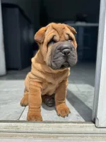 processed/f5b310cb-5f16-4b11-972c-5904fafc7057/facility/c8716388-2a84-4294-b88a-40891c4d01b5