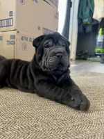 processed/f5b310cb-5f16-4b11-972c-5904fafc7057/listing/3c119d5d-7e3e-41c1-8faf-df54c09dbe6a/8a1e5657-ea42-40eb-b8b4-b6745b5b8974