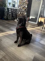 processed/f5b310cb-5f16-4b11-972c-5904fafc7057/listing/3c119d5d-7e3e-41c1-8faf-df54c09dbe6a/959a49b8-f1b5-428e-906f-991a3cedcb2d