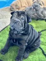 processed/f5b310cb-5f16-4b11-972c-5904fafc7057/listing/3c119d5d-7e3e-41c1-8faf-df54c09dbe6a/9a50f2bb-5585-45c8-ba88-f536ae3086c8