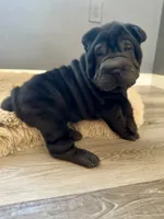 processed/f5b310cb-5f16-4b11-972c-5904fafc7057/listing/3c119d5d-7e3e-41c1-8faf-df54c09dbe6a/cbc01191-e74c-4bf1-b04b-e2cb080f978d