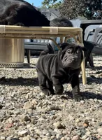 processed/f5b310cb-5f16-4b11-972c-5904fafc7057/listing/3c119d5d-7e3e-41c1-8faf-df54c09dbe6a/cd4a3b9c-82b1-4201-ac7d-3ce772faa5ee