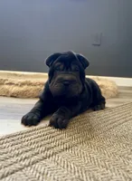 processed/f5b310cb-5f16-4b11-972c-5904fafc7057/listing/3c119d5d-7e3e-41c1-8faf-df54c09dbe6a/ebc432fd-7be1-4ddb-b368-29bc6405b381