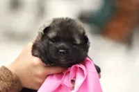 processed/f5b35e7a-1dfc-4419-8878-23febceafd37/listing/0483a147-4d94-4ee1-b470-6489305d91ef/84dc48e1-2cba-450e-bc48-3dea2938a31a