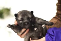 processed/f5b35e7a-1dfc-4419-8878-23febceafd37/listing/424ca890-6ba5-4cf5-ab7f-666633fbf5b5/b019b3a8-0c58-4809-9b4f-bf6fee9fd451