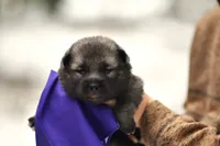 processed/f5b35e7a-1dfc-4419-8878-23febceafd37/listing/424ca890-6ba5-4cf5-ab7f-666633fbf5b5/f1483171-d570-4edc-b7f6-6eb0a6760059