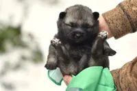 processed/f5b35e7a-1dfc-4419-8878-23febceafd37/listing/71ce702f-6f11-469f-969d-8adb0df8196d/48e49e55-eeac-4e93-89ac-32c94c218f7f