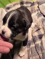 processed/f5b386c2-1e19-4763-a37a-0c17486d12d1/listing/0bee0b10-9a9a-451b-ba6b-8a5897356267/edaba4b3-820b-40b7-99d4-ea5bc74eda50