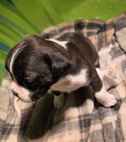 processed/f5b386c2-1e19-4763-a37a-0c17486d12d1/listing/0bee0b10-9a9a-451b-ba6b-8a5897356267/ef80e395-f7ca-42d4-bde9-625eb9f4e52f