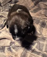 processed/f5b386c2-1e19-4763-a37a-0c17486d12d1/listing/2db24574-8d8a-4bb8-8673-06765c595a47/7528c455-af97-47f6-84eb-f975fe2d4f97