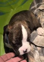 processed/f5b386c2-1e19-4763-a37a-0c17486d12d1/listing/62bbb122-b22a-4677-90d6-f0d24e102d35/06be5ba9-073b-4465-94b0-4ce66518a8bc