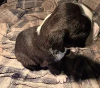 processed/f5b386c2-1e19-4763-a37a-0c17486d12d1/listing/62bbb122-b22a-4677-90d6-f0d24e102d35/16bdbab2-1e4e-4b56-8d36-0f262ff60ad9