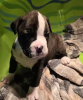 processed/f5b386c2-1e19-4763-a37a-0c17486d12d1/listing/62bbb122-b22a-4677-90d6-f0d24e102d35/fa9e2092-d9b0-4f3d-9cd8-149cd83ec095