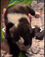 processed/f5b386c2-1e19-4763-a37a-0c17486d12d1/listing/d60e6936-a2a0-468c-ac0d-8afdc6ce52e3/97bba017-b8c7-488d-90d5-a4fc3a1277a4