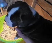 processed/f5b386c2-1e19-4763-a37a-0c17486d12d1/listing/d60e6936-a2a0-468c-ac0d-8afdc6ce52e3/eadabff2-4d78-4635-aaa8-98fd75b7e6ba