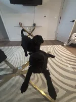 processed/f5b55f5b-2f72-40ca-88eb-2d850b7c6f03/listing/54215506-c1ff-49c0-8217-fb1bb1446519/1eb722ac-bcc2-45ed-a178-f32c670804d2