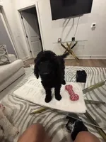 processed/f5b55f5b-2f72-40ca-88eb-2d850b7c6f03/listing/54215506-c1ff-49c0-8217-fb1bb1446519/cab3f102-8596-45a8-a949-5a8d89096008