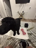 processed/f5b55f5b-2f72-40ca-88eb-2d850b7c6f03/listing/54215506-c1ff-49c0-8217-fb1bb1446519/d8f6db45-3781-4d35-b1cf-8619ff6ad3a6