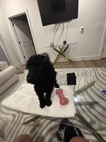 processed/f5b55f5b-2f72-40ca-88eb-2d850b7c6f03/listing/54215506-c1ff-49c0-8217-fb1bb1446519/defcffdd-3f88-4896-9485-e19e72167971