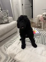 processed/f5b55f5b-2f72-40ca-88eb-2d850b7c6f03/listing/55dec25a-8585-41e1-a2df-61e1899bad9d/29f7a52e-d1eb-4fd1-a0ef-aa3b0ae1fc69