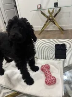 processed/f5b55f5b-2f72-40ca-88eb-2d850b7c6f03/listing/55dec25a-8585-41e1-a2df-61e1899bad9d/9debb520-424d-45c7-88c1-03286d1223bf