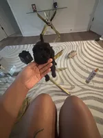 processed/f5b55f5b-2f72-40ca-88eb-2d850b7c6f03/listing/55dec25a-8585-41e1-a2df-61e1899bad9d/e1a5bfab-d6be-43a8-925e-4ba5d7c1e381