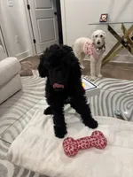 processed/f5b55f5b-2f72-40ca-88eb-2d850b7c6f03/listing/55dec25a-8585-41e1-a2df-61e1899bad9d/e706ecd7-b152-460f-b24c-1d5cd99f992d