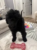 processed/f5b55f5b-2f72-40ca-88eb-2d850b7c6f03/listing/55dec25a-8585-41e1-a2df-61e1899bad9d/eb67c7f0-bb25-4765-807e-a3c2377e42ac