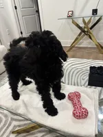 processed/f5b55f5b-2f72-40ca-88eb-2d850b7c6f03/listing/55dec25a-8585-41e1-a2df-61e1899bad9d/f72f05e0-a70f-4c15-9bd5-750663d3d84c