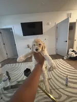 processed/f5b55f5b-2f72-40ca-88eb-2d850b7c6f03/listing/97655841-fa08-44e7-a404-8bdebebcacb1/5422f69b-9a01-4429-a75d-3b77d1f8d8b4