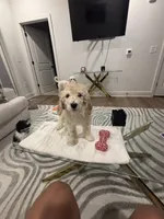 processed/f5b55f5b-2f72-40ca-88eb-2d850b7c6f03/listing/97655841-fa08-44e7-a404-8bdebebcacb1/7601556d-7742-4093-bca3-86239f7c29eb