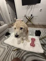 processed/f5b55f5b-2f72-40ca-88eb-2d850b7c6f03/listing/97655841-fa08-44e7-a404-8bdebebcacb1/8dc81ca4-a405-451e-ad3c-d190c022e498