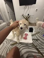 processed/f5b55f5b-2f72-40ca-88eb-2d850b7c6f03/listing/97655841-fa08-44e7-a404-8bdebebcacb1/bc33c124-38c4-4646-9ac7-0a8c31d372cc