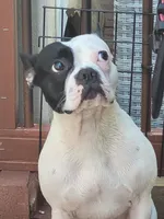 processed/f5bfc7d7-d56a-43ca-a470-f3800822cce9/listing/29c1e1d9-2c69-4ffe-91ec-d8d43dfdb33d/2c05c521-f9ea-49f2-a2d5-3f5031fb8db4